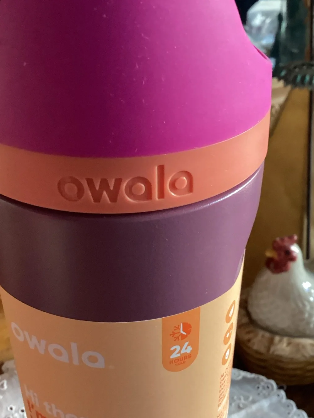 Owala Insulated Bottle — Purple with Pink Accent